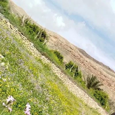 زمین ۲۰۰متری