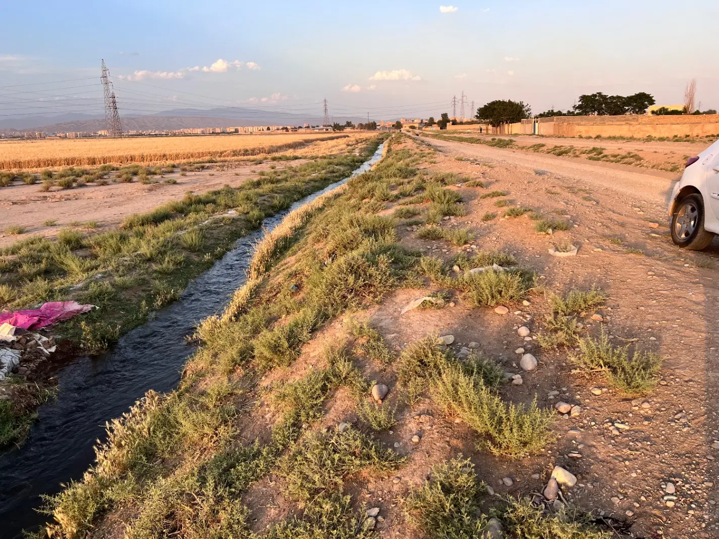 فروش ۵۰۰ متر زمین قوهه خیابان کربلا_نزدیک کمر بندی