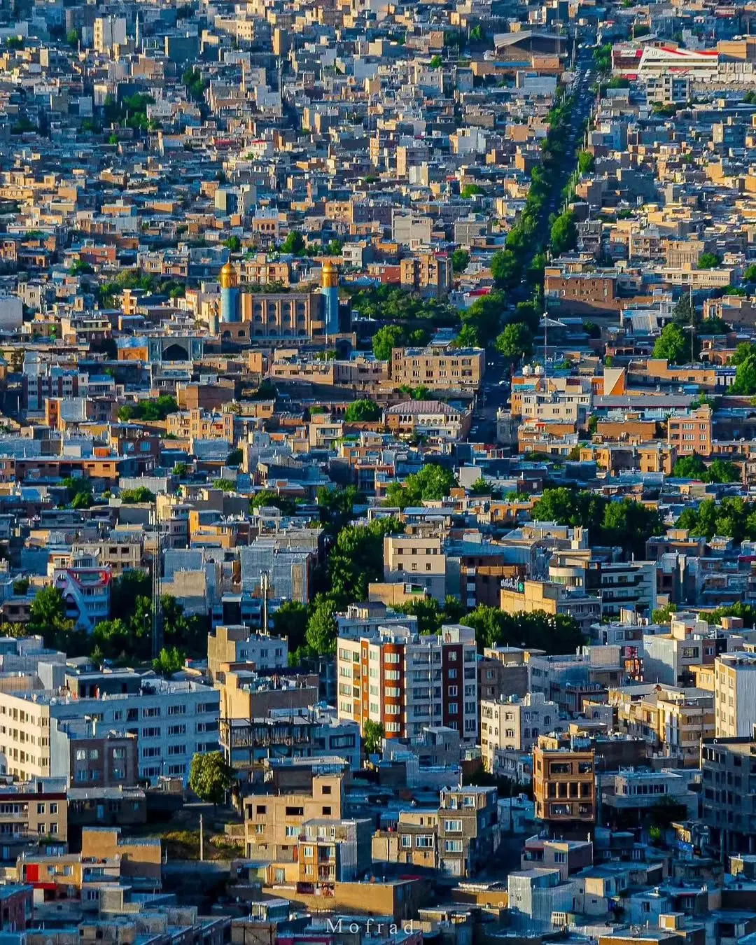 زمین ۱۲۰ متری دونبش