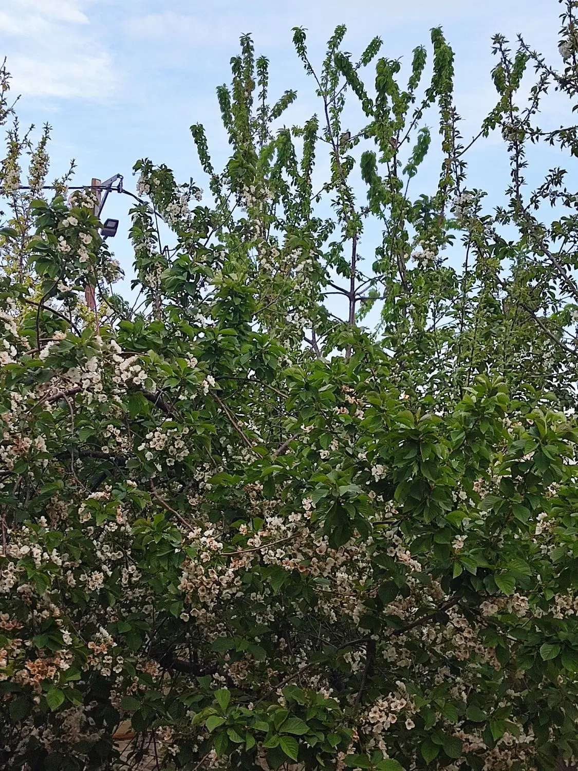 خانه ویلایی ۲۳۰ متر