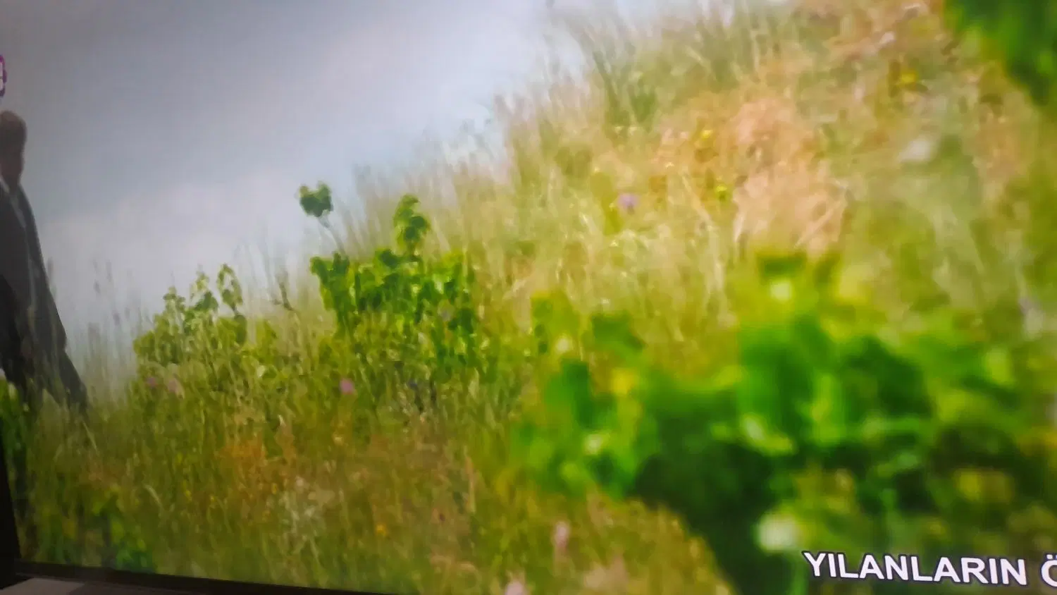 زمین زاغی به متراژ ۸۲۰متر