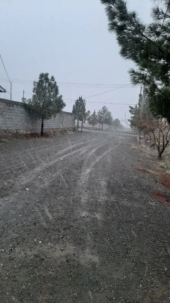 زمین باغی به متراژ ۷۵۰ متر