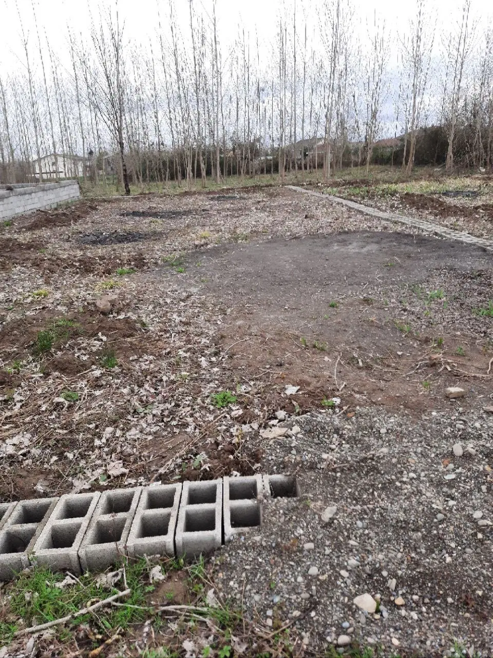 زمین ۳۰۰ متری فرهنگیان ضیابر