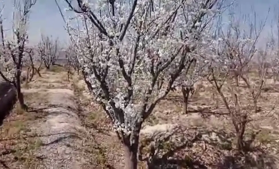 ۵۰۰متر باغچه استخر برق اختصاصی ورامین