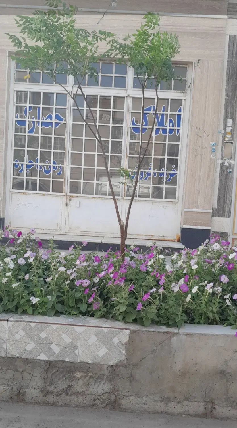 اجاره مغازه