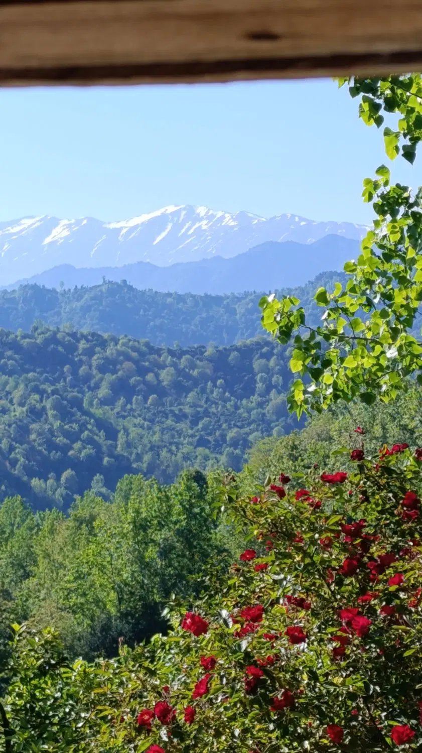 زمین کوهپایه ای 300 متری