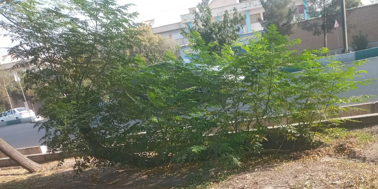 زمین دفترچه منطقه ۴