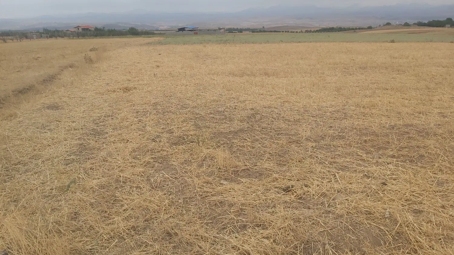 زمین کشاورزی
