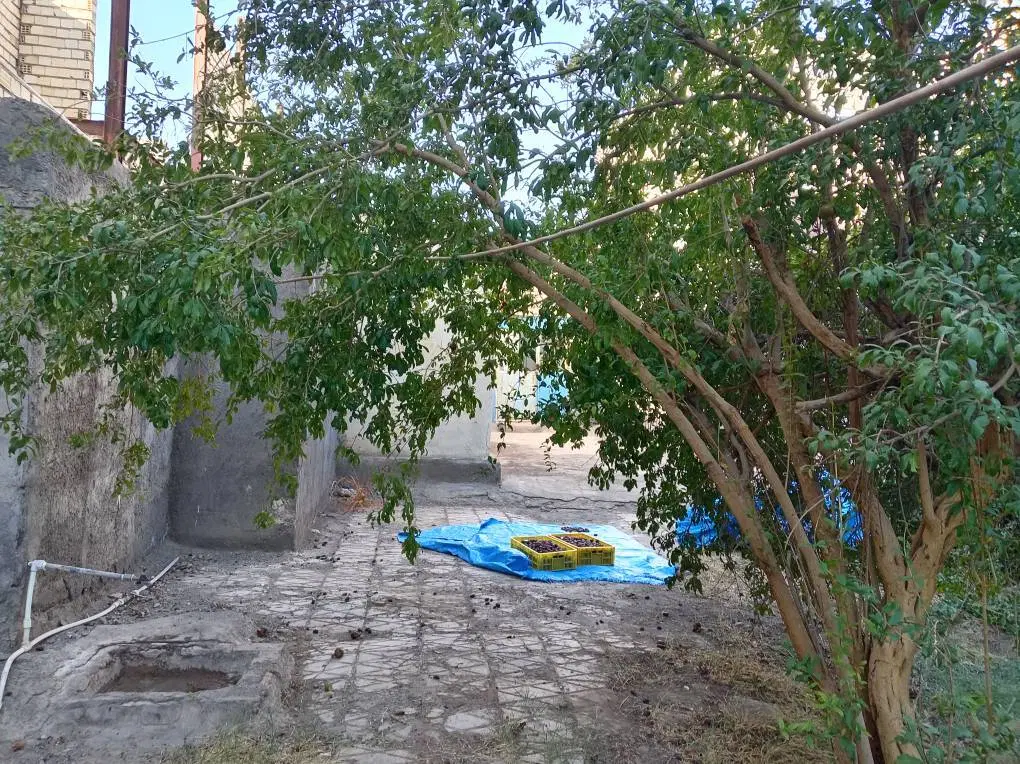 قطعه زمین