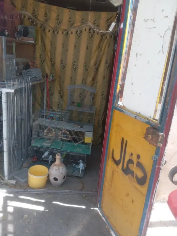 مغازه اجاره ای