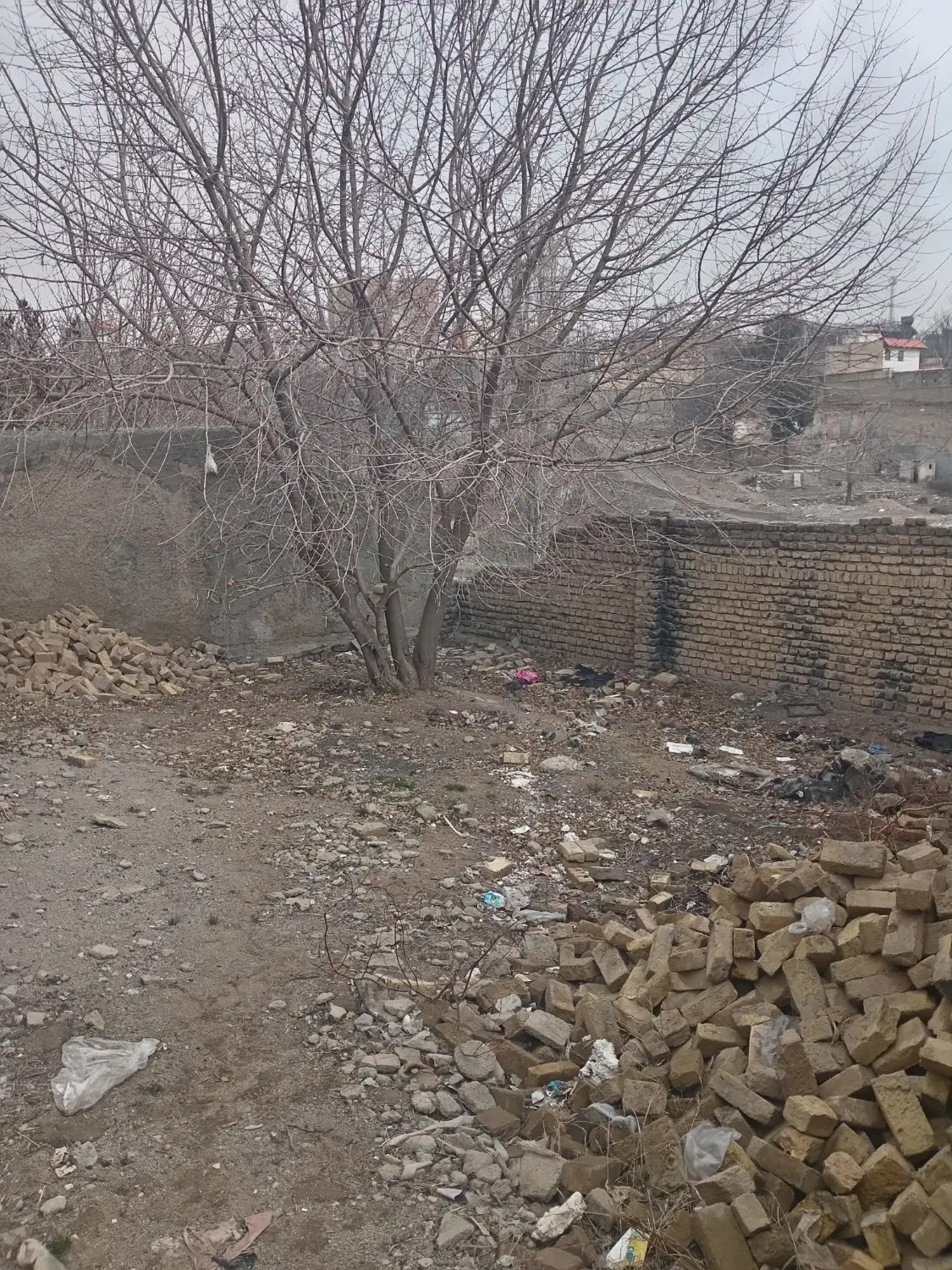 زمین 55 متری خیابان جهانگیر حبیبی