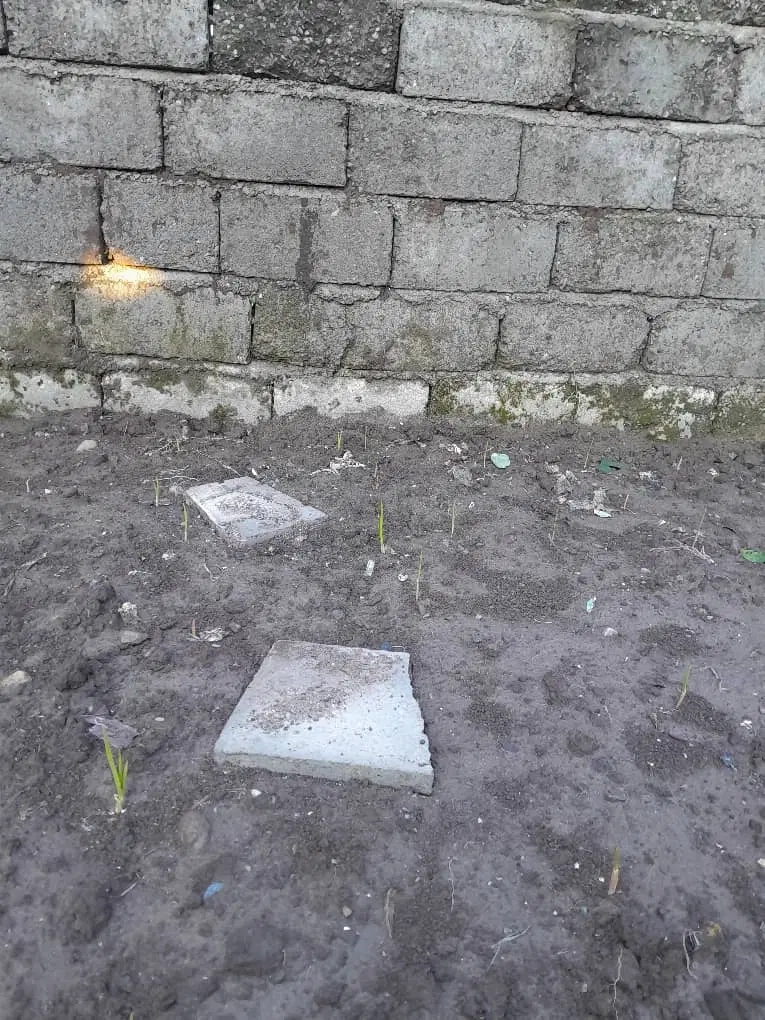 زمین بخش ۵  فروشی