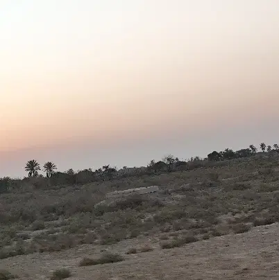 زمین تجاری سر فلکه رمیله