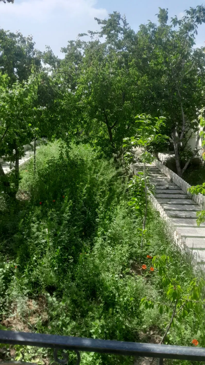۴۰۰متر باغچه کردان هرجاب