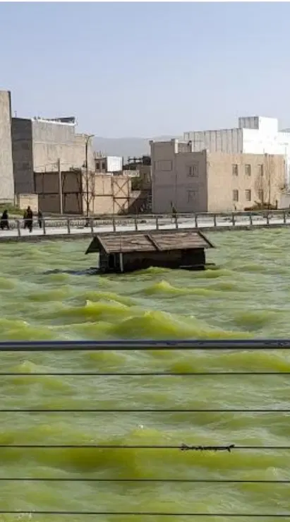 زمین شاپوری