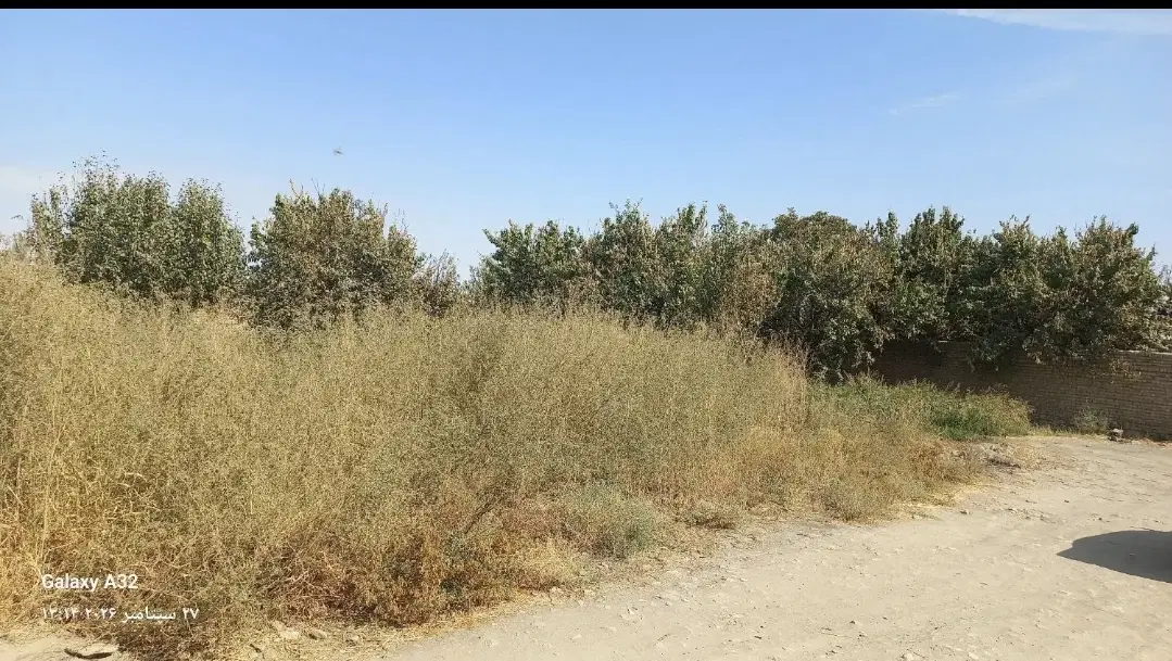 زمین برای انبار سوله