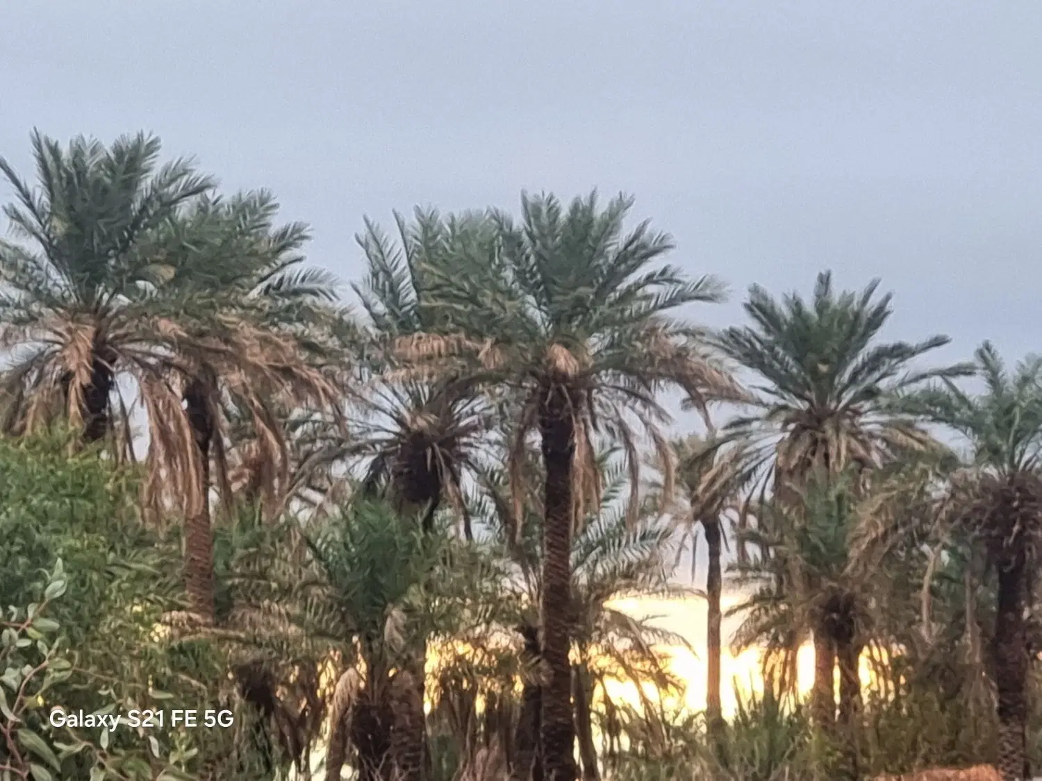 زمین درشهداد