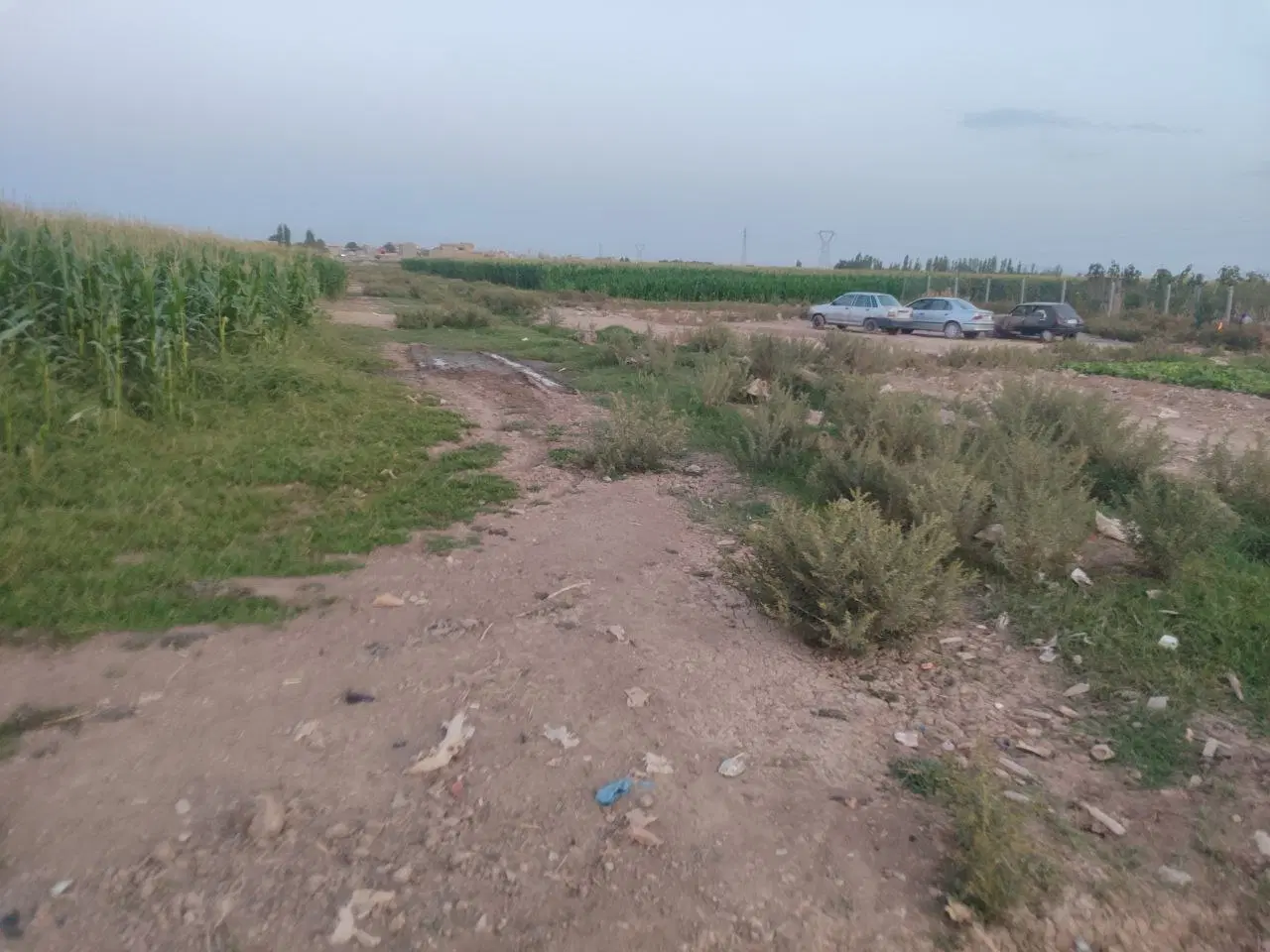 زمین کشاورزی به متراژ ۲۶۰۰متر در علی اباد