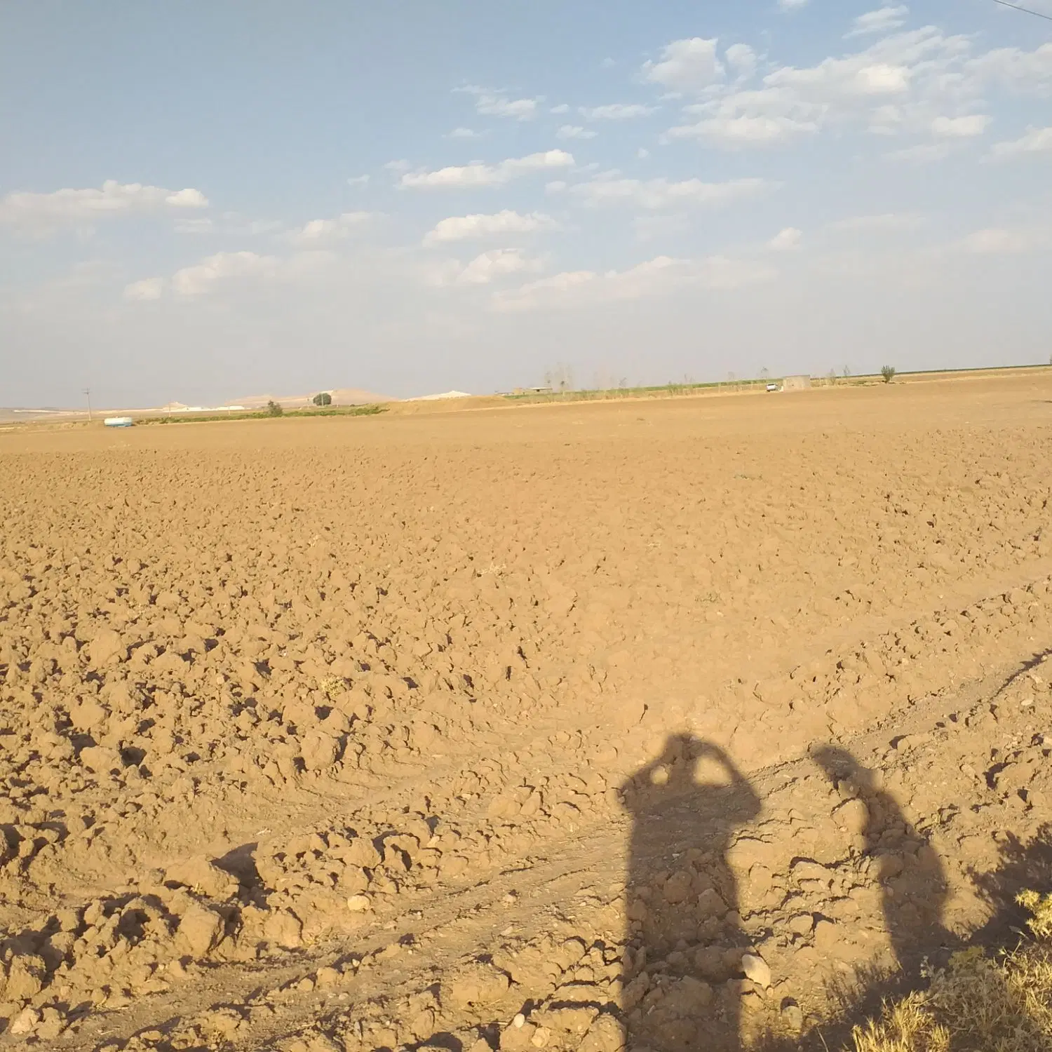 فروش زمین زراعی دیمی همدان کبودرآهنگ روستای روعان