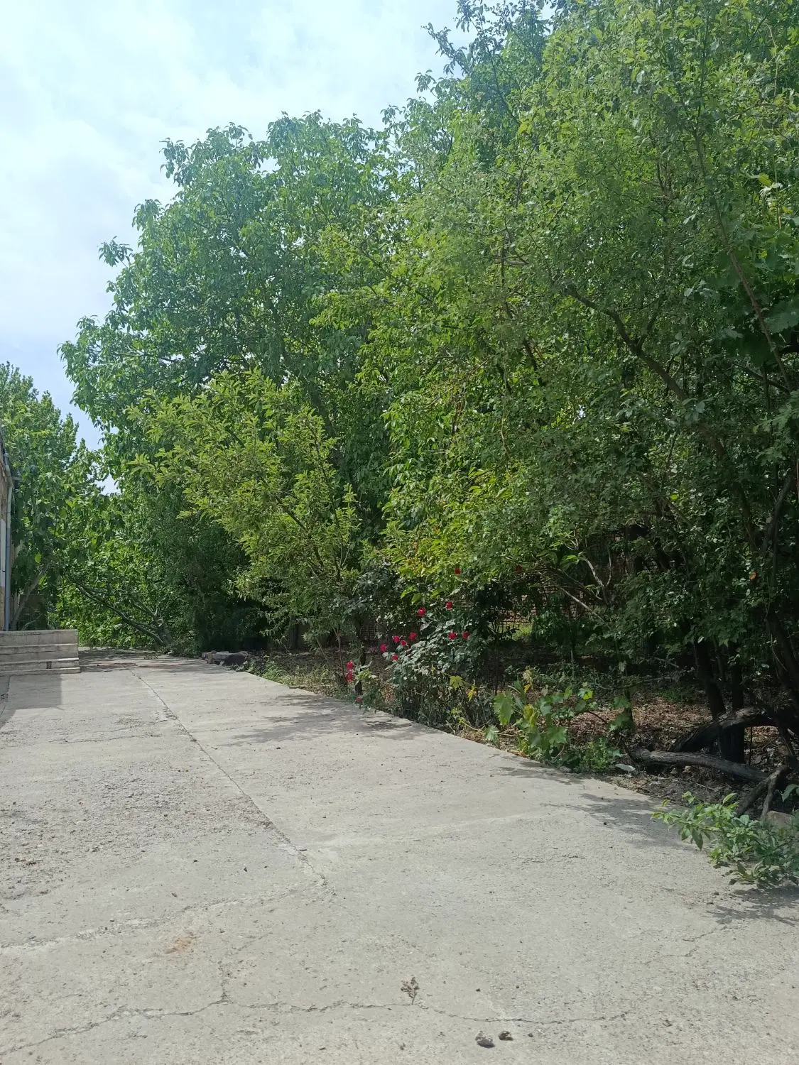 اجاره خونه باغ شترک مهرگان