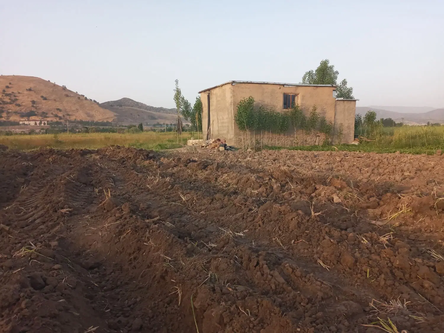 ۳ هکتار وینجه دوم سال
