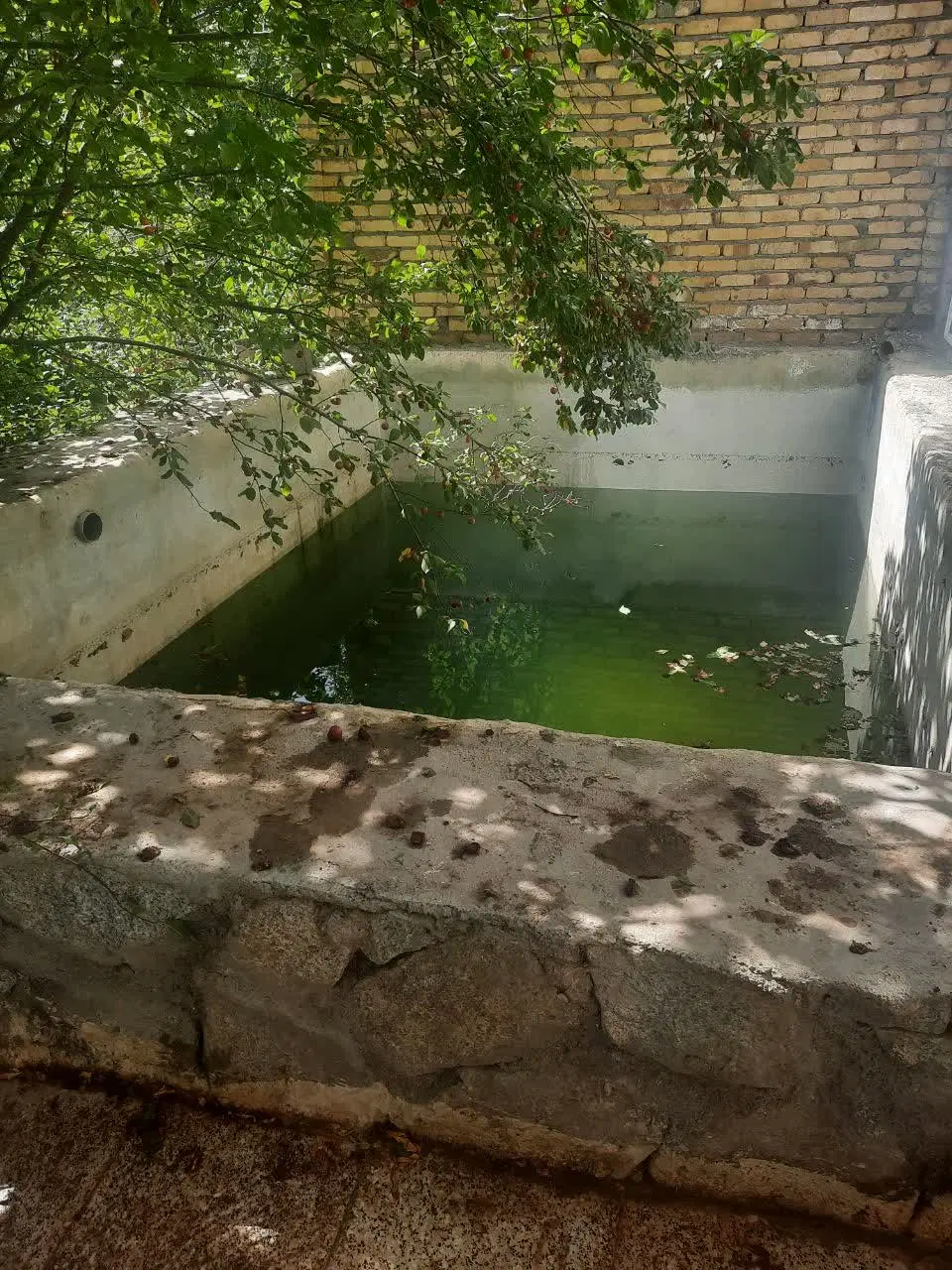 خانه باغ منشاد