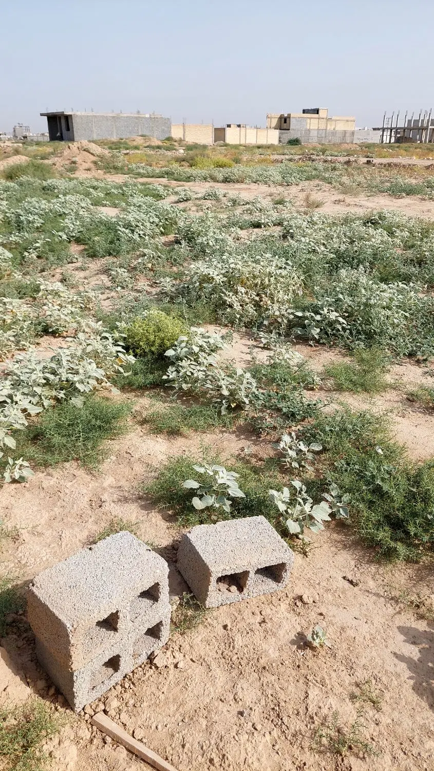 فروش ۶عدد زمین