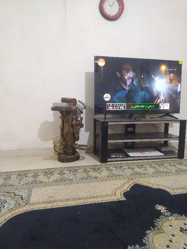 هم خانه