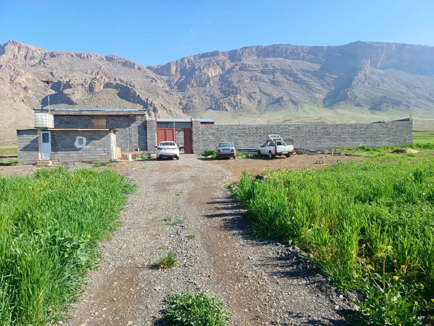دامداری،  ۲۰۰ راسی بره