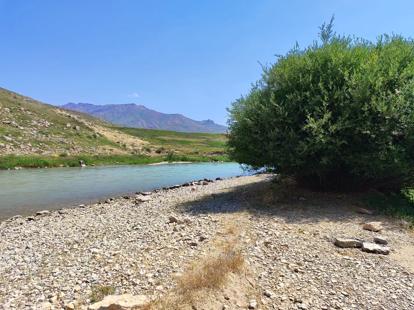 فروش زمین کشاورزی