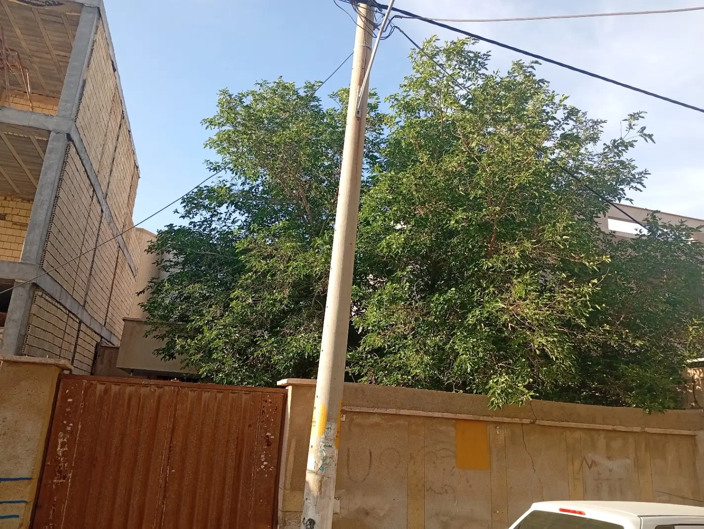 زمین جنوبی 230 متری کوی کارمندان