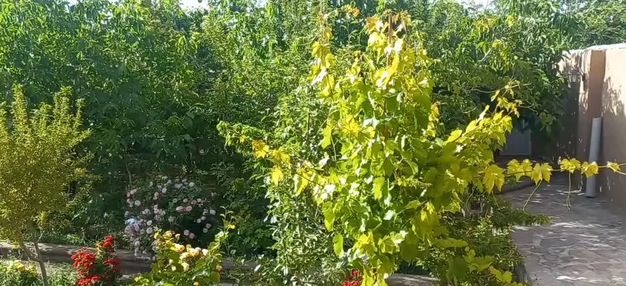 فروش باغ در قطعه‌ای در بهشت با جواز و امکانات