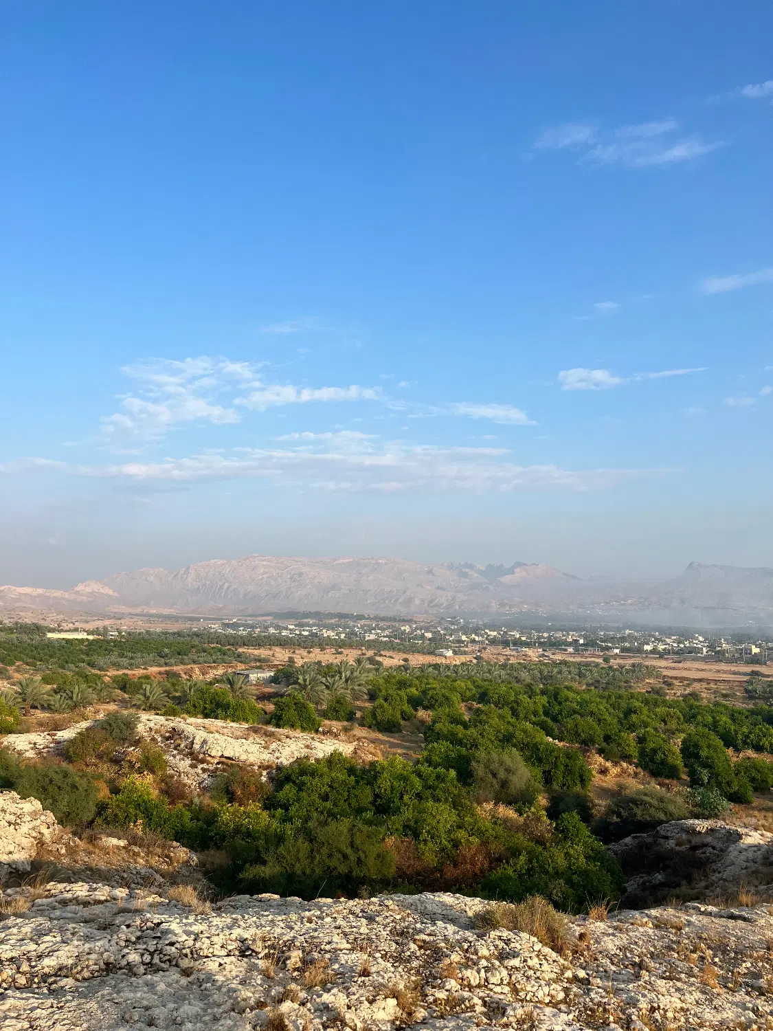 فروش زمین شهرک یاس