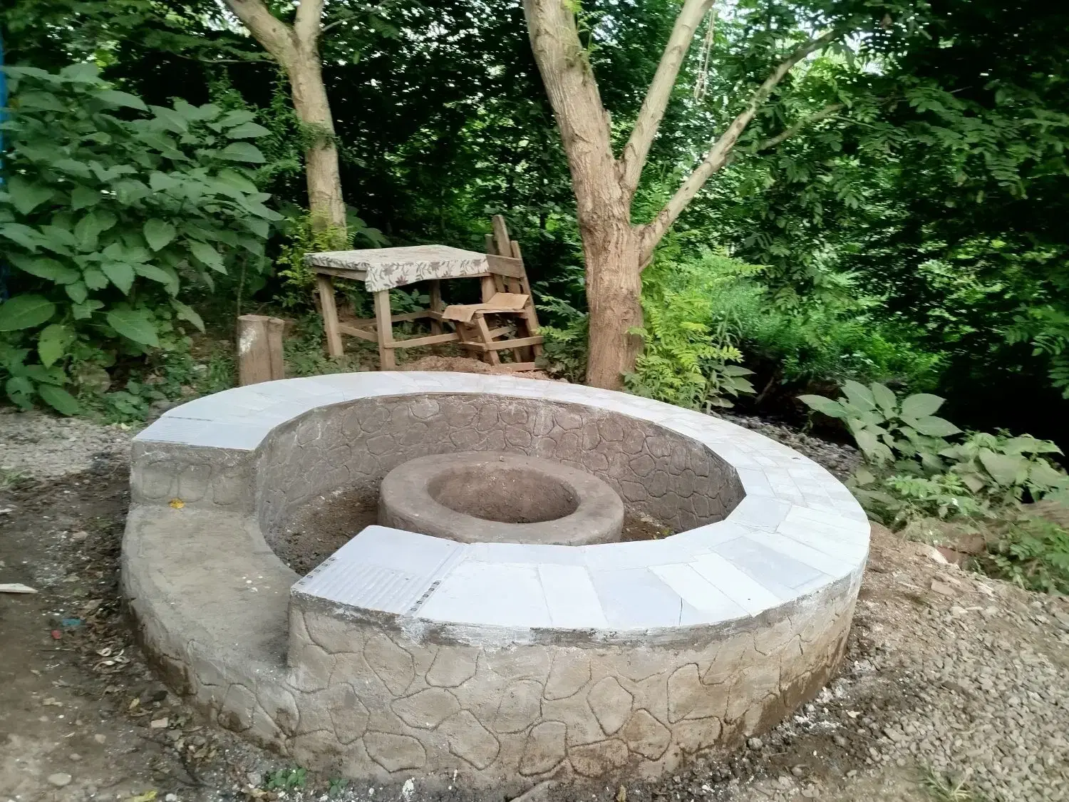 جنگلی کنار رودخانه