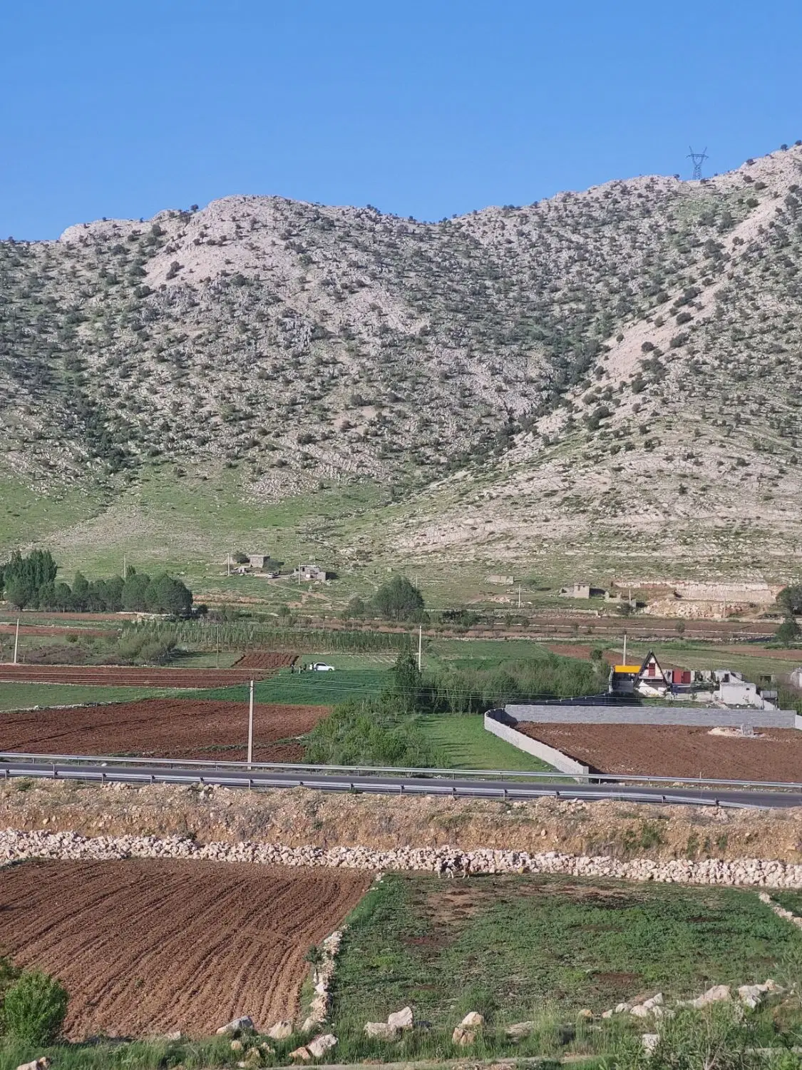 فروش باغ زمین در یاسوج