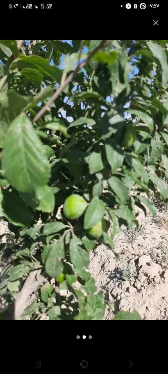 ۳۰۰ مترزمین الحاق به بافت