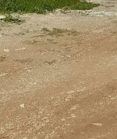 فروش زمین مسکونی