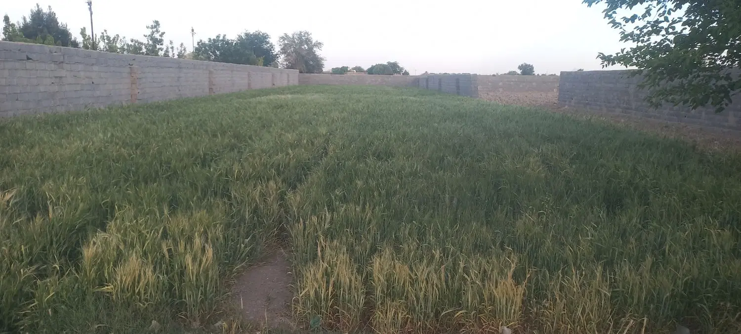 چهاردیواری