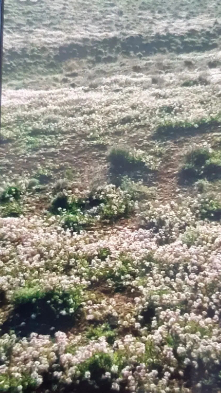 پلاک ۳۵ جهاد کشاورزی سال ۹۲