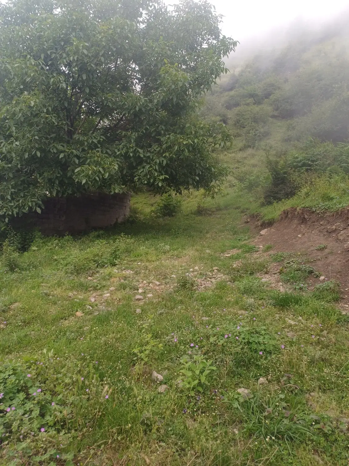 فروش زمین واقع در شیخ موسی