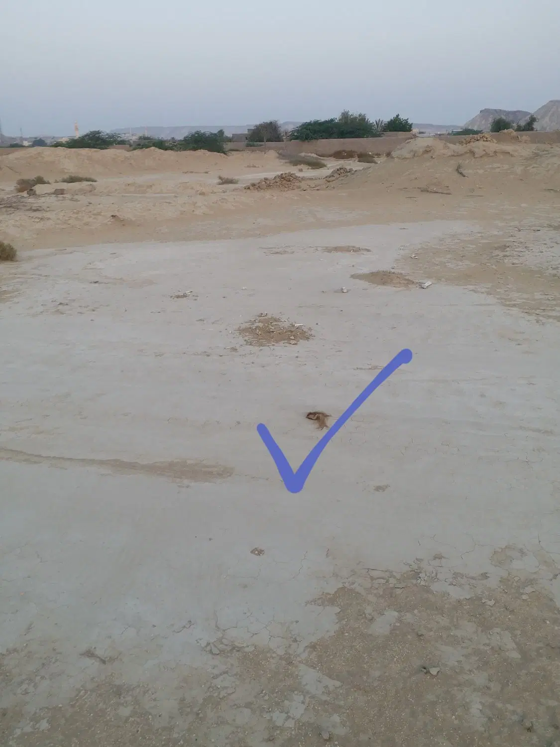 زمین گیاهدان شهرک بلوچ