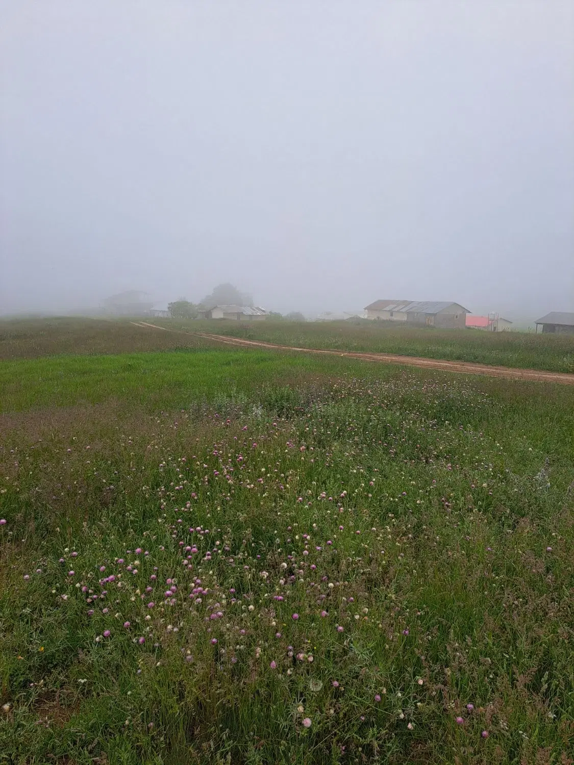 فروش زمین در ییلاق جهان‌نما قطعه ۲۵۰ متر به بالا