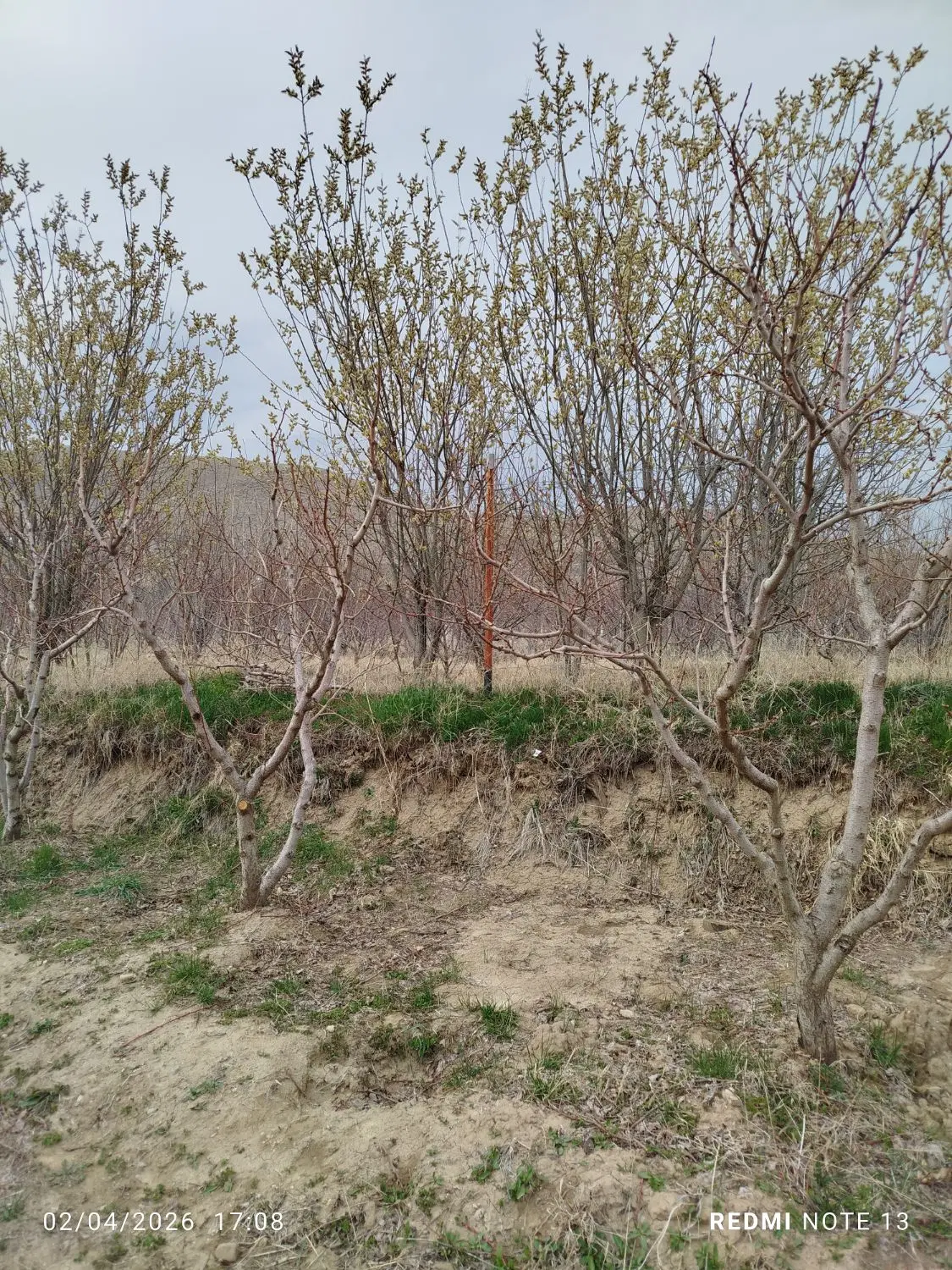 فروش زمین مسکونی