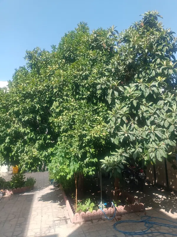رهن و اجاره منزل ویلایی
