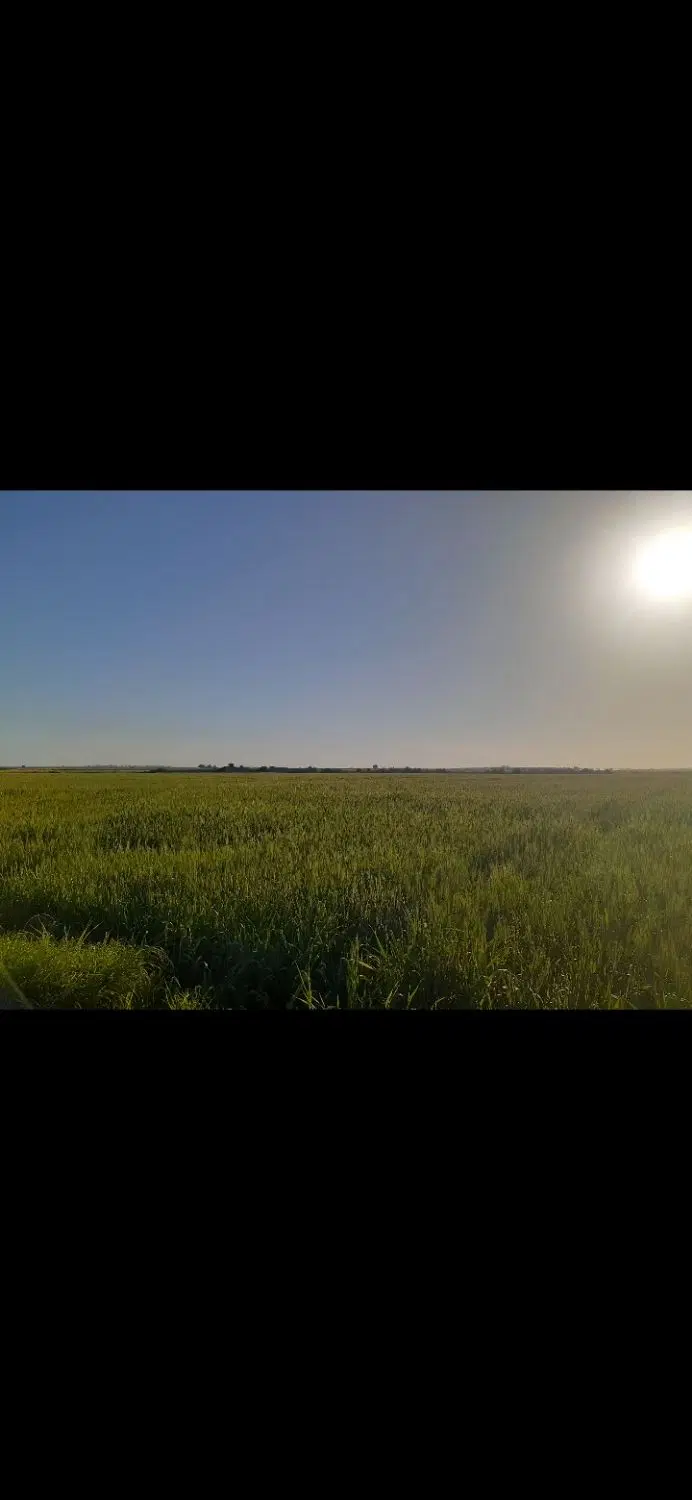 اجاره زمین کشاورزی ۴۰ هکتار ۶ اینج موتور دیزل