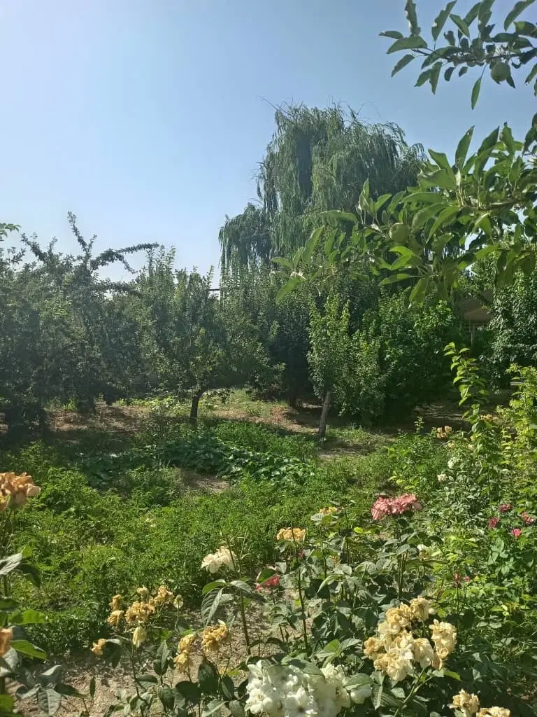 باغ ویلا چهارباغ گلستان ها