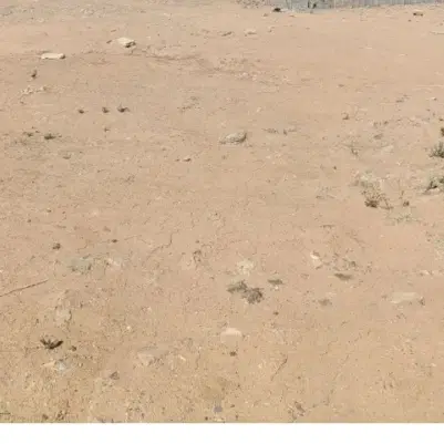 ۷۵۰متر زمین هفت باغ نرسیده ب ورودی محی اباد