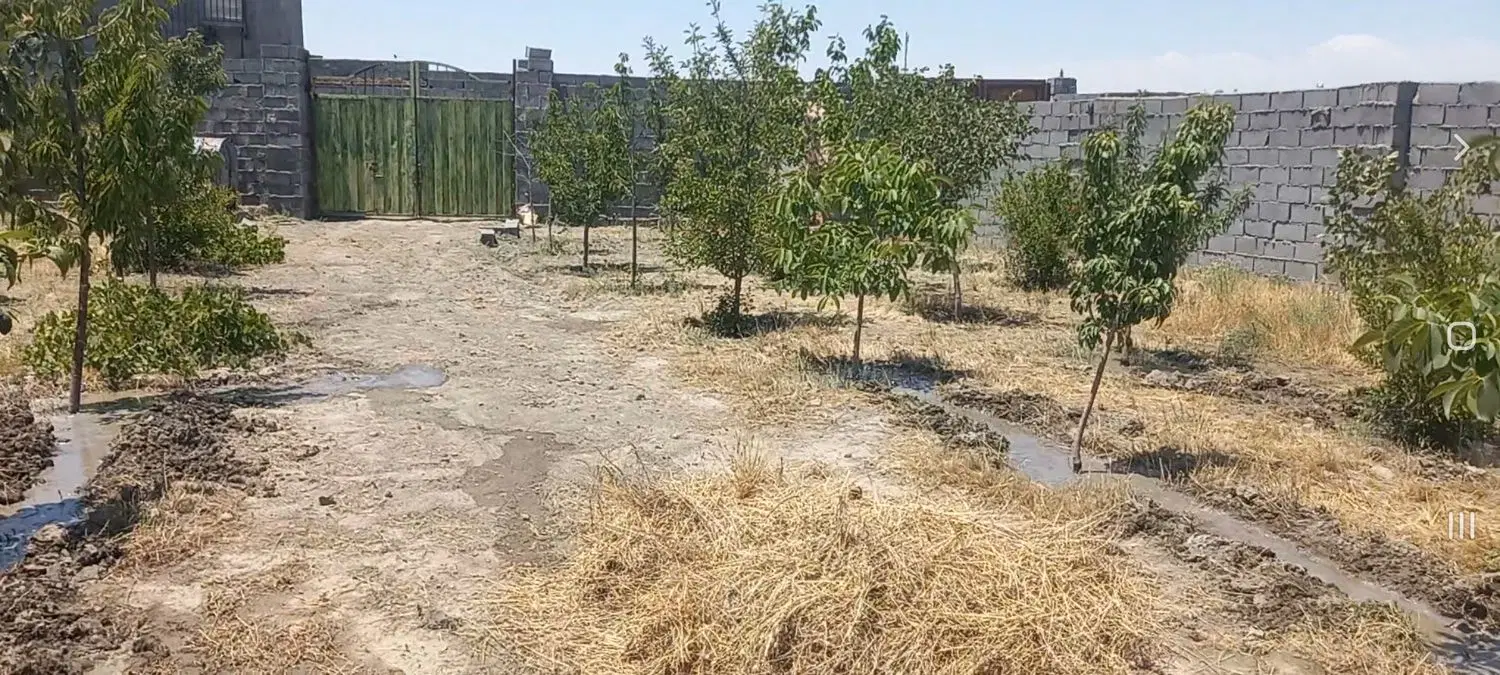 باغ