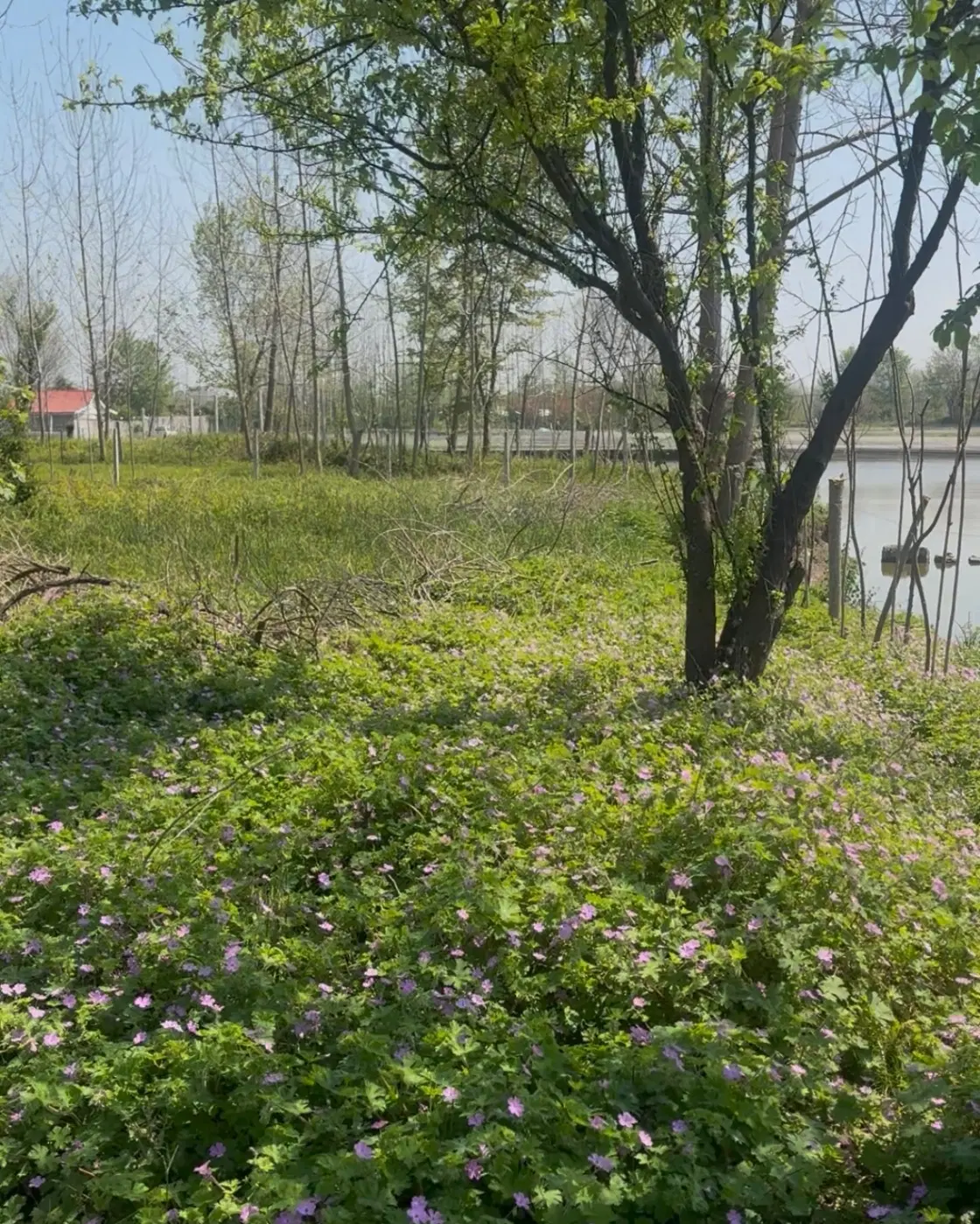 فروش زمین مسکونی دارای پروانه ساخت