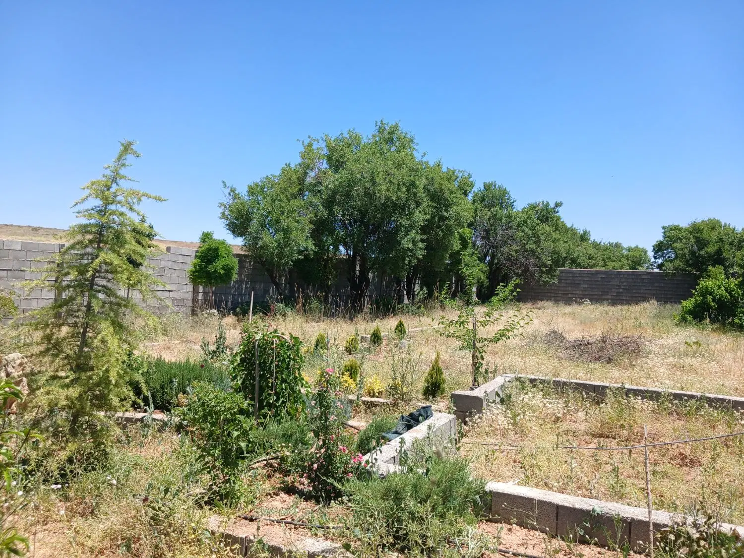 باغشهری شیراز قره چمن